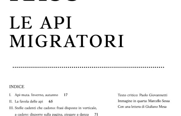 [dia•foria #31 Andrea Raos – Le Api Migratori